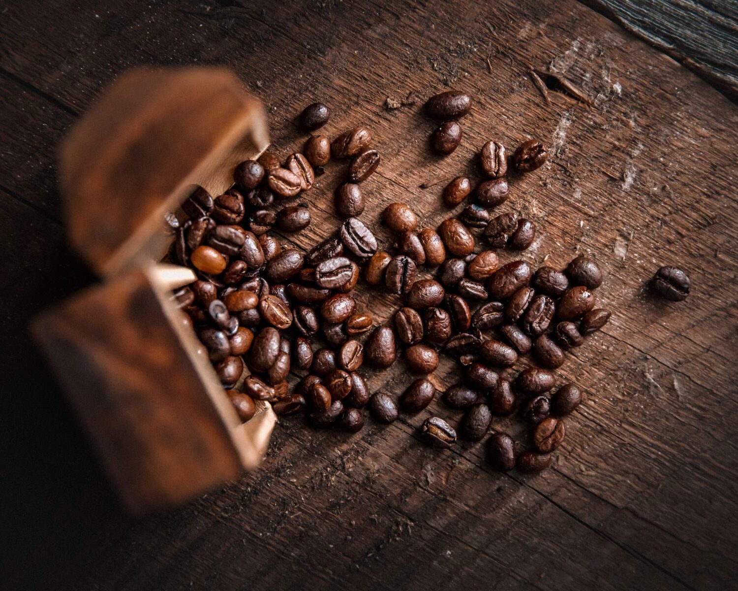 Différences entre café moulu ou en grain